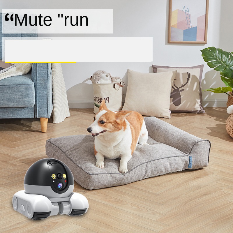 New 1080P HD WIFI Camera PTZ I - đánh giá và giá Home Security Robots