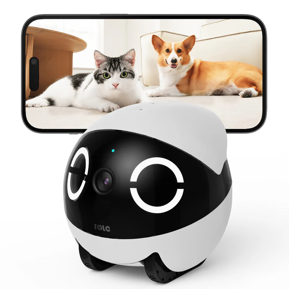 Home Security Pet Tumbler Desi - đánh giá và giá Home Security Robots